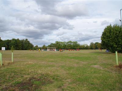 Picture 20